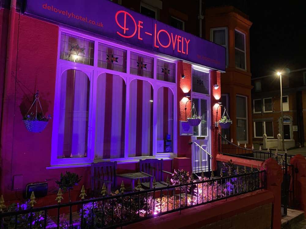 Delovely Hotel Over view