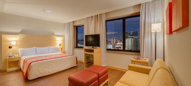 蓝树维波迪维努甄选酒店(Blue Tree Premium Morumbi)图片