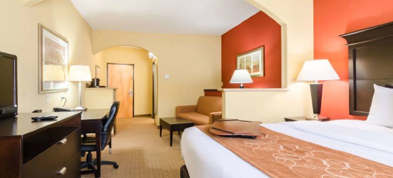 南萨莱纳舒适套房酒店(Comfort Suites Salina South)图片