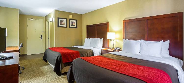 市中心舒适酒店(Comfort Inn Downtown)图片