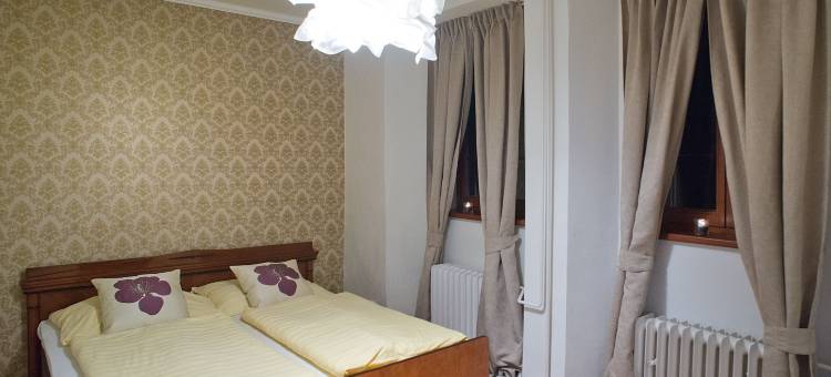 皮塞克城市酒店(Hotel City Pisek)图片