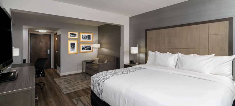 罗利市区北部拉昆塔温德姆套房酒店(La Quinta Inn & Suites by Wyndham Raleigh Downtown North)图片