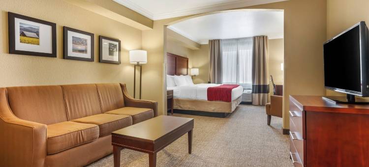 舒适酒店-阿克塔-洪保德区(Comfort Inn Arcata)图片