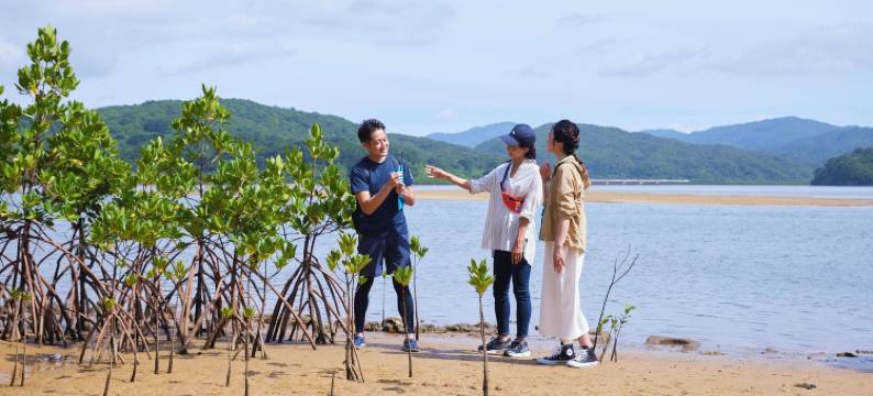 星野集团 西表岛酒店(Hoshino Resorts Iriomote Hotel)图片