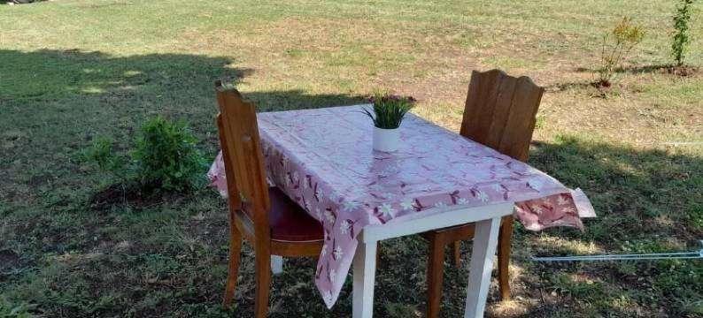 Gîte du capitaine(船长的旅馆)(Gîte du Capitaine)图片