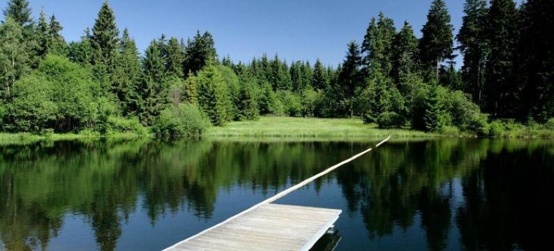 海尔伯格尔霍夫瑞恩提酒店(Rennsteighotel Herrnberger Hof)图片