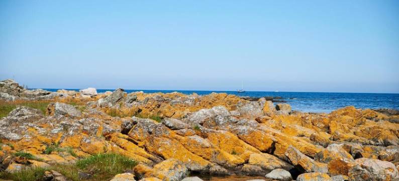 斯瓦内克旅行者旅馆(Svaneke Vandrerhjem - Hostel)图片
