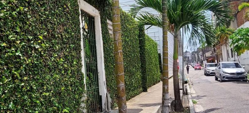 米里蒂生态旅馆(Ecopousada Miriti)图片