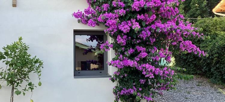 三只猫头鹰之家(La Maison des 3 Chouettes)图片