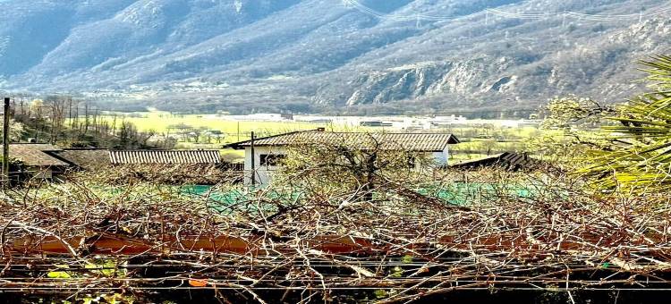 罗韦雷多的休息和餐厅(Rest and Restaurant in Roveredo)图片