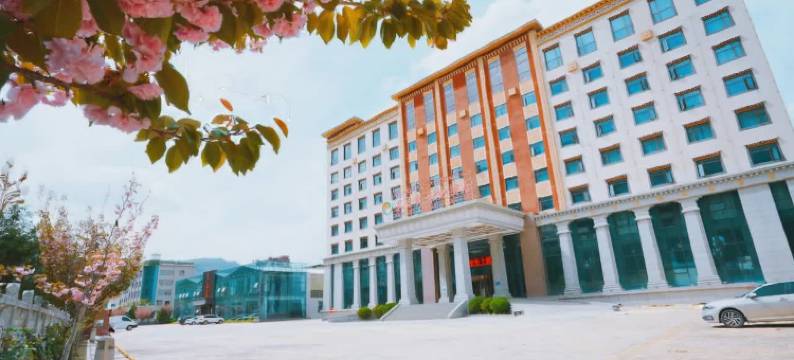 迭部苯日钦牡大酒店图片