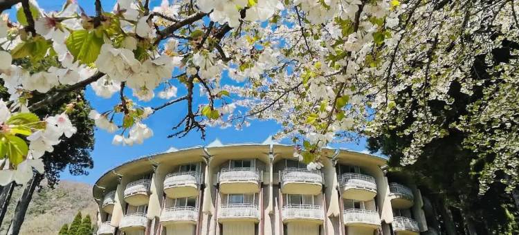 箱根芦之湖皇家王子大饭店(The Prince Hakone Lake Ashinoko)图片