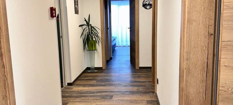 莱恩巴赫酒店(Hotel Lainbach in Wängle)图片
