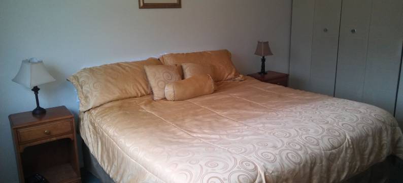 珀丽庄园酒店(Rosedale Manor)图片