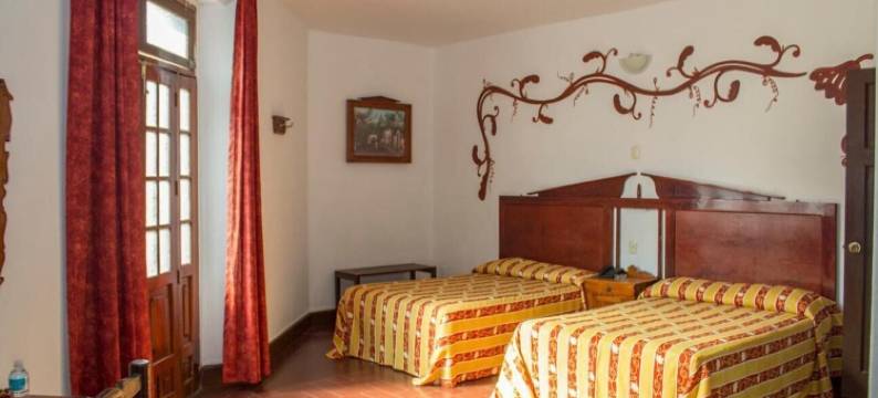 科隆尼亚酒店(Hotel Colonial)图片