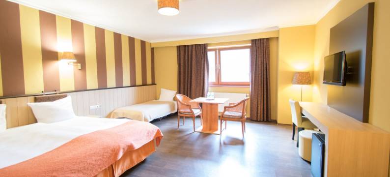 威尔兹制革厂酒店(Aux Tanneries de Wiltz)图片