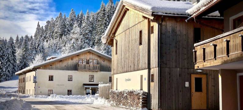 克劳斯酒店(Gasthof Salzstadl)图片