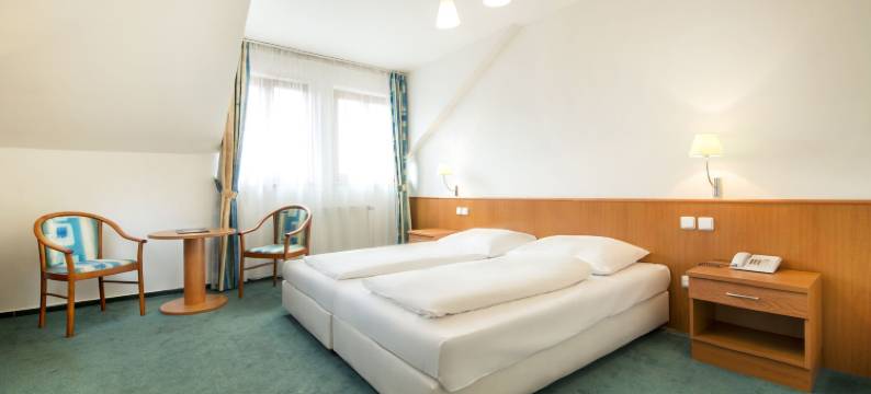 德沃拉克酒店(Hotel Dvorak)图片