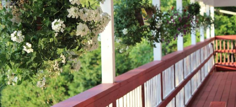 查塔姆旅游汽车旅馆(Chatham Travel Lodge)图片