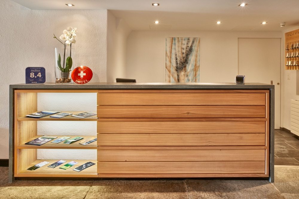 Hotel Bellevue Over view