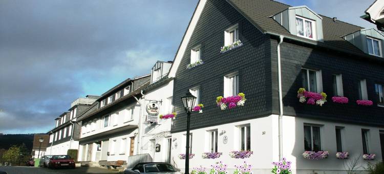 布伦门酒店(Blumenhotel)图片