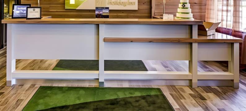 Holiday Inn 导师(Holiday Inn CLEVELAND NORTHEAST - MENTOR by IHG)图片