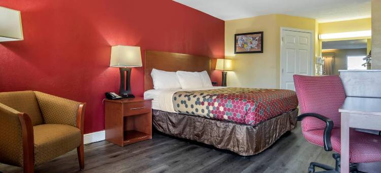 图珀洛巴恩斯克罗辛伊克诺旅馆(Econo Lodge Tupelo Barnes Crossing)图片