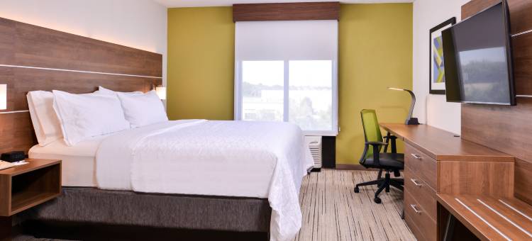 洲际智选假日酒店及套房坦帕-安德森路/退伍军人(Holiday Inn Express & Suites Tampa-Anderson RD/Veterans Exp)图片