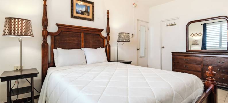 椰子棕榈树旅馆(Coconut Palms Inn)图片