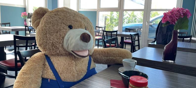 Brit韦索尔酒店(Brit Hotel le Vesoul)图片