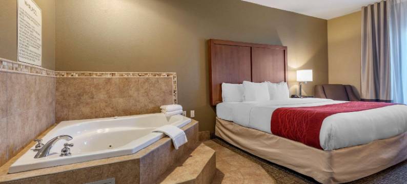 拉塞尔维尔I-40舒适套房酒店(Comfort Inn & Suites Russellville I-40)图片