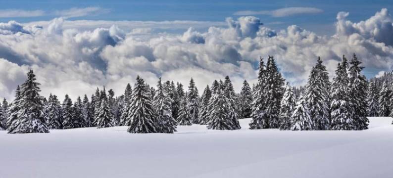 Cozy Stay near Aletsch图片