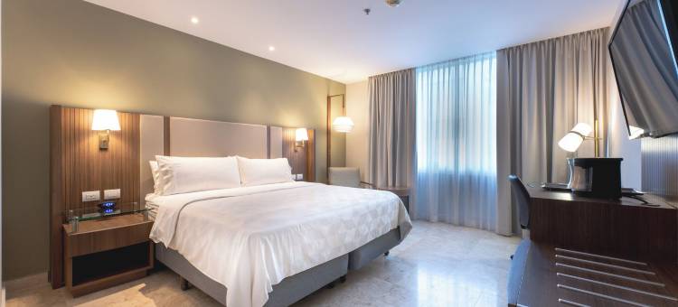 比亚埃尔莫萨机场假日酒店(Holiday Inn VILLAHERMOSA AEROPUERTO by IHG)图片