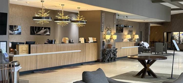 韦斯特马克费尔班克斯酒店及会议中心(Westmark Fairbanks Hotel and Conference Center)图片