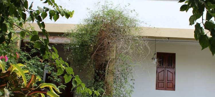 塔拉别墅(Villa Tara)图片