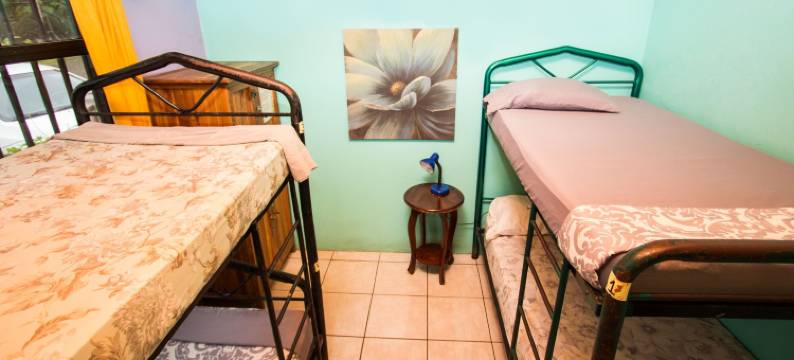 Pura Natura小屋(Pura Natura Lodge)图片