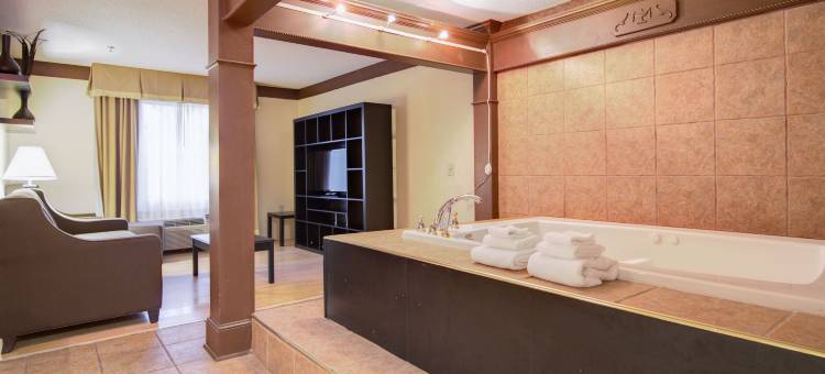 梅肯北I-75舒适套房酒店(Comfort Inn & Suites Macon North I-75)图片