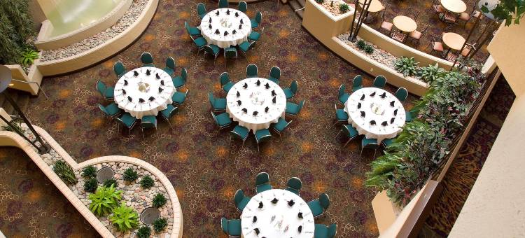 堪萨斯城国际机场希尔顿安泊酒店(Embassy Suites by Hilton Kansas City International Airport)图片