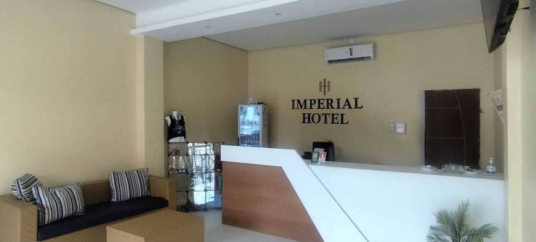 马塞洛·纳西门托·维亚纳(Imperial Hotel Barcarena Sede)图片
