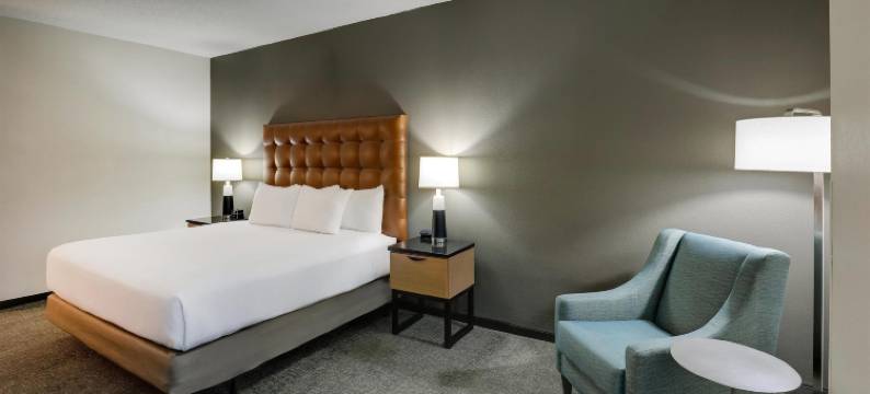 蒙哥马利德鲁里套房酒店(Drury Inn & Suites Montgomery)图片