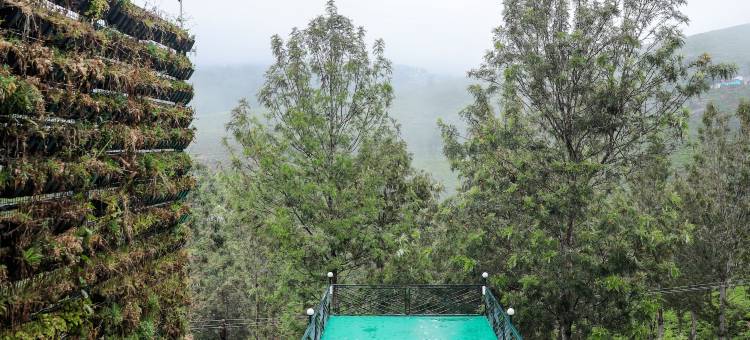 蓝山回忆(Memories at The Blue Mountains)图片