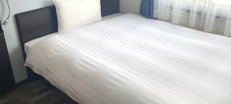 东横 INN 埼玉岩槻站前(Toyoko Inn Saitama Iwatsuki Ekimae)图片