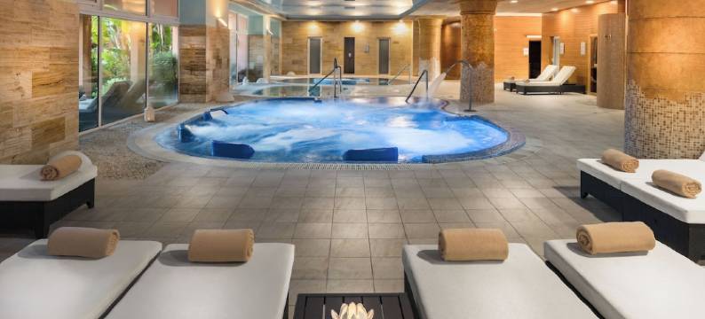 厄尔巴岛艾斯塔波海水浴温泉酒店(Elba Estepona Gran Hotel & Thalasso Spa)图片