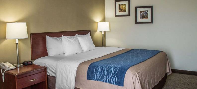 舒适酒店(Cambridge Inn by Capital O Near I-70 / I-77)图片