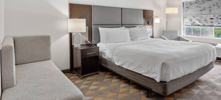 达拉斯艾迪生假日套房酒店(Holiday Inn & Suites DALLAS-ADDISON by IHG)图片