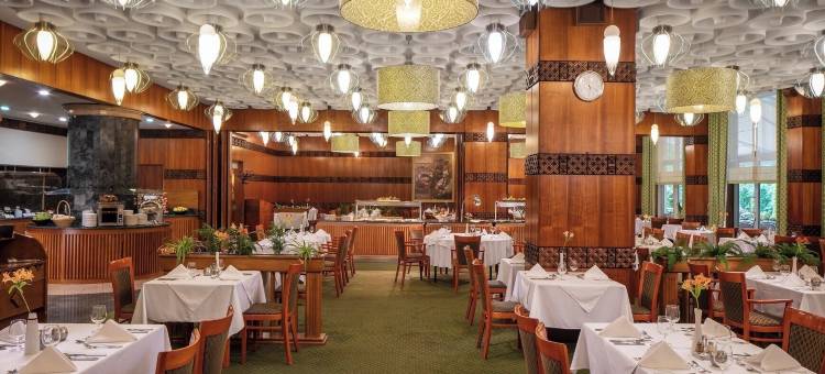 恩萨纳温泉赫威兹酒店(Ensana Thermal Hévíz)图片
