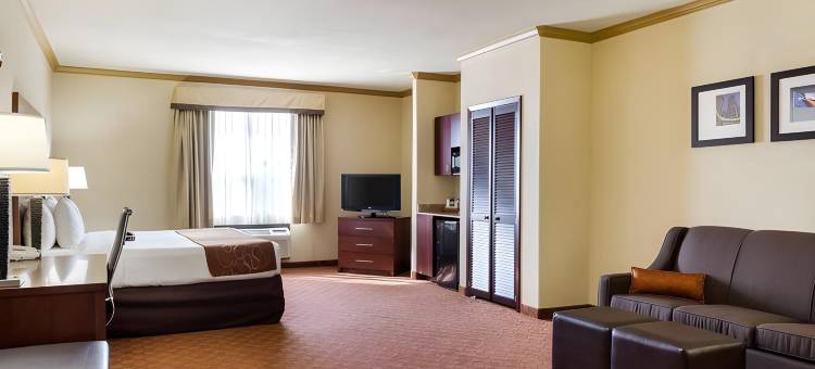克利尔莱克舒适套房酒店-近NASA(Comfort Suites Near NASA - Clear Lake)图片