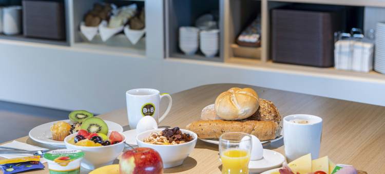 兰茨胡特住宿加早餐酒店(B&B HOTEL Landshut)图片