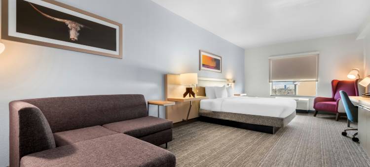 阿马里洛希尔顿花园旅馆(Hilton Garden Inn Amarillo)图片