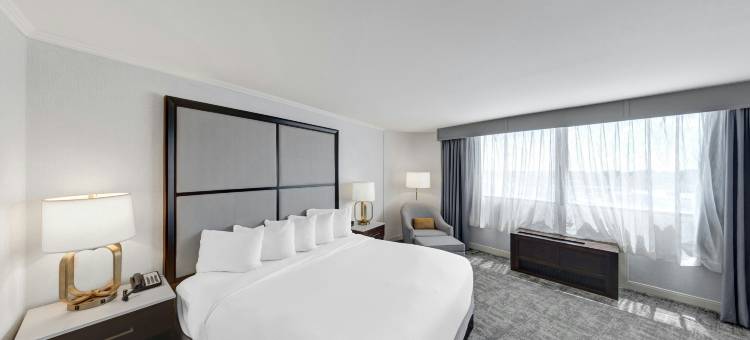 希尔顿芝加哥-橡树草坪(Hilton Chicago/Oak Lawn)图片